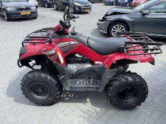 Kawasaki KVF 300  picture 4