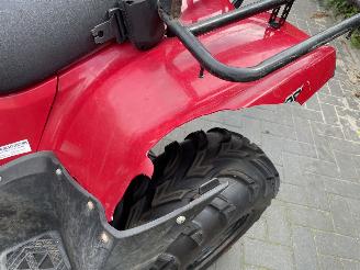 Kawasaki KVF 300  picture 10