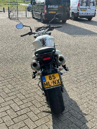 Triumph Speed Triple 675 picture 4