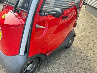 Mango  Napoleon picture 6