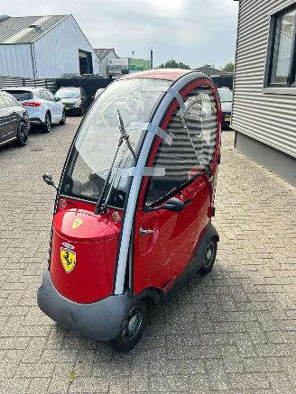 Mango  Napoleon picture 5