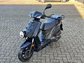 Sym  X-Pro picture 7