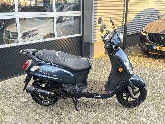 Sym  Fiddle 2 picture 6