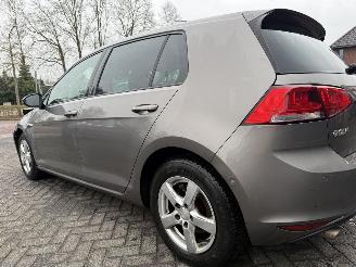 Volkswagen Golf 1.6 TDI Highline BlueMotion picture 24