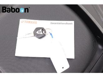 Yamaha  Tracer 9 GT picture 24