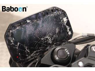 BMW S 1000 R ABS picture 23