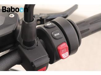 BMW S 1000 R ABS picture 26