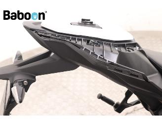 BMW S 1000 R ABS picture 16