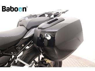 BMW  R 1250 R ABS Triple Black picture 19