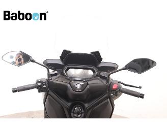 Yamaha  X-MAX 300 picture 17