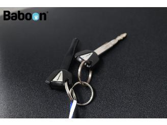 Kawasaki Versys 1000 ABS picture 24