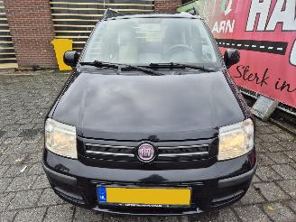 Fiat Panda 1.2 edizione cool picture 7