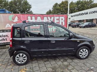 Fiat Panda 1.2 edizione cool picture 2