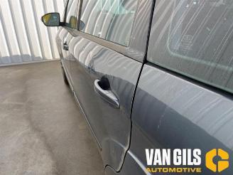 Ford Galaxy  picture 10