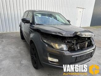 Land Rover Range Rover Evoque Range Rover Evoque (LVJ/LVS), SUV, 2011 / 2019 2.2 eD4 16V 5-drs. picture 6