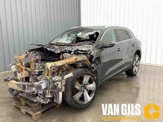 Audi E-tron E-tron (GEN), SUV, 2018 55 quattro picture 6