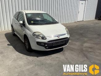 Fiat Punto Punto Evo (199), Hatchback, 2009 / 2012 1.3 JTD Multijet 85 16V Euro 5 picture 2
