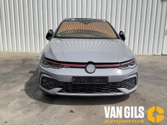 Volkswagen Golf Golf VIII (CD1), Hatchback, 2019 2.0 GTI 16V 2021/1