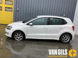 Salvage car Volkswagen Polo Polo V (6R), Hatchback, 2009 / 2017 1.2 TDI 12V BlueMotion 2010/9