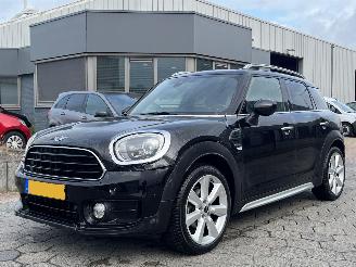 Damaged car Mini Countryman 1.5 Chili 2018/9