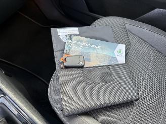 Skoda Kodiaq 1.4 TSI ACT 4x4 150PK 2000kg trekgewicht picture 22