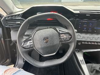 Peugeot 308 1.2 PureTech Active Pack Business picture 16