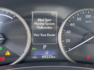 Lexus NX 300H AWD President Line picture 21