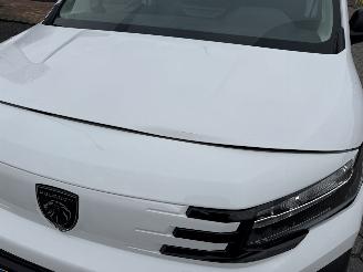 Peugeot Partner 1.5 BlueHDi 100 S&S L1 picture 9