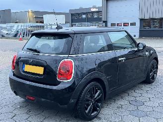 Mini One 1.5 One Salt picture 4