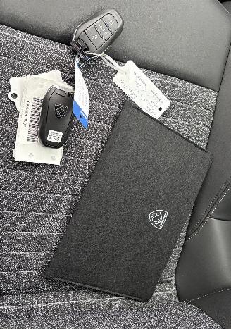 Peugeot e-3008 NIEUW!  Allure Avantage 210 73 kWh 267km picture 24