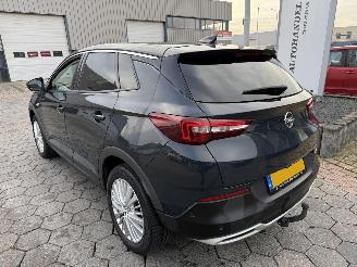 Opel Grandland X 1.2 Turbo Business Executive picture 8