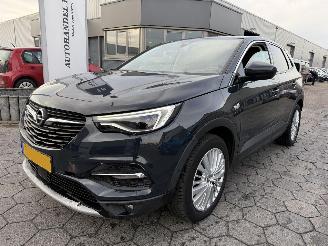  Opel Grandland X 1.2 Turbo Business Executive 2019/9