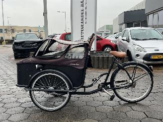 Avarii biciclete Overige  Johnny Loco E-Cargo Cruiser 5.3 2017/12