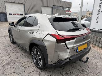 Lexus UX 250h Preference Line picture 7