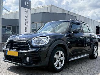Voiture accidenté Mini Countryman 1.5 AUTOM Cooper  Edition AUTOMAAT 2019/5