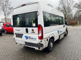 Fiat Ducato 2.3 MULTIJET. 9 PERSOONS MAXI +PLUS LIFT. picture 3