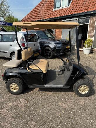 Overige  EZGO golfkar picture 6