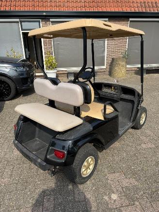 Overige  EZGO golfkar picture 5