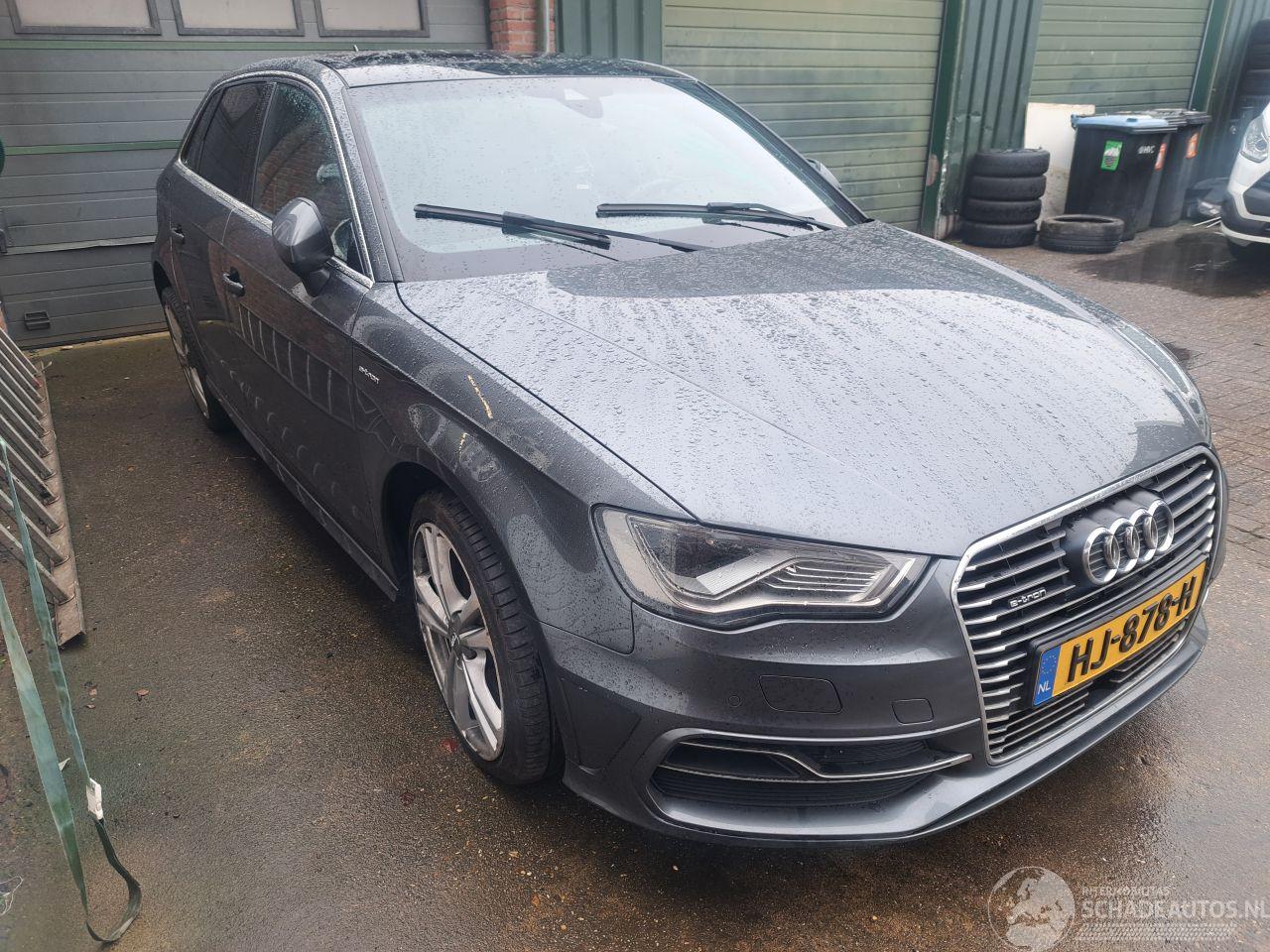 Audi A3 1.4 E-TRON S Line automaat pannodak