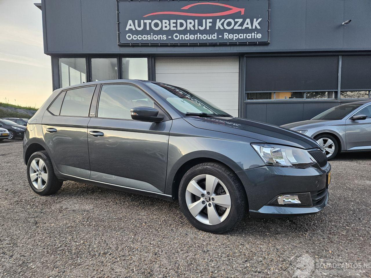 Skoda Fabia 1.2 TSI Ambition AUTOMAAT CRUISE PDC