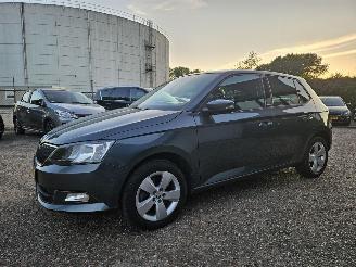 Skoda Fabia 1.2 TSI Ambition AUTOMAAT CRUISE PDC picture 4