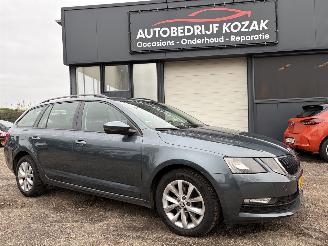  Skoda Octavia 1.0 TSI Greentech BusinessEdition 2019/1