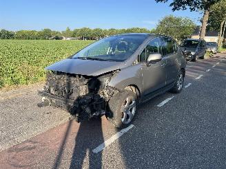Peugeot 3008 1.6-16V THP picture 2