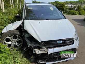 Ford S-Max S-Max (GBW), MPV, 2006 / 2014 2.0 Ecoboost 16V picture 2