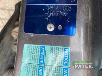 Honda Insight Insight (ZE2), Hatchback, 2009 / 2013 1.3 16V VTEC picture 11