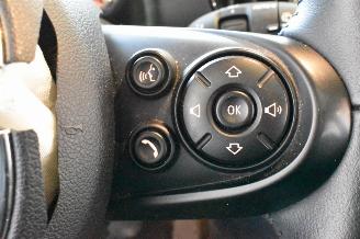 Mini Countryman COOPER SE ALL4 picture 27