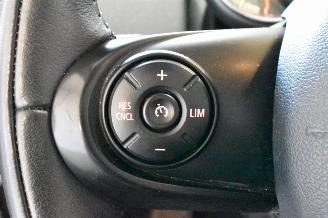 Mini Countryman COOPER SE ALL4 picture 26