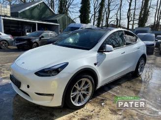 Démontage voiture Tesla Model Y Model Y (5YJY), SUV, 2019 Long Range,Performance 2023/11