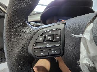 MG 5 Long R. Comf. 61 kWh picture 30