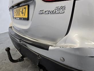Suzuki SX4 S-CROSS 1.6 EXCLUSIVE picture 13